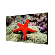 HIKVISION BASIC DS-D2055LR-G Monitor videowall de 55", resolución 1920 x 1080, ancho del marco de 0.8mm, entradas: HDMI/VGA/DVI/