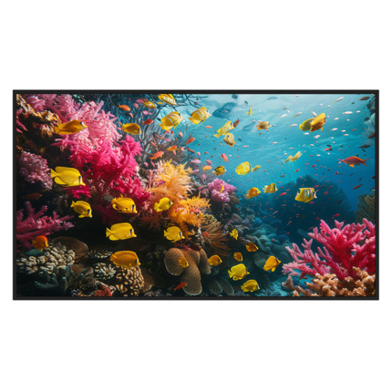 Comprar HIKVISION DS-D6043UH-DP Monitor 43&quot; - Resolución 4K - Uso intensivo 24/7 - Android 13 - 4 GB RAM + 32 GB ROM - Soporte a pared incluido