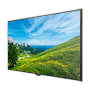 HISENSE HIS-49BM66AE Monitor HISENSE ELED 4K 49&quot; | Serie M - Resolución 3840x2160 - Entrada HDMI, DVI, VGA, DP, USB, RS232 (2)