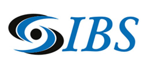 IBS MANTENIMIENTO SBN Soporte licencia SBN.