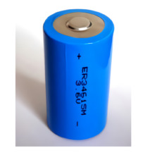 MASTER BATTERY ER34615M Pila 3.6V Litio