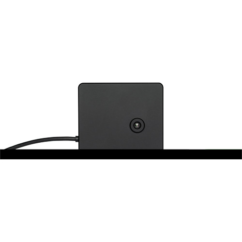 OEM BODYTEMP-256-USB Cámara termográfica con monitorización en PC - Medición de temperatura corporal a tiempo real - Resolución (1)