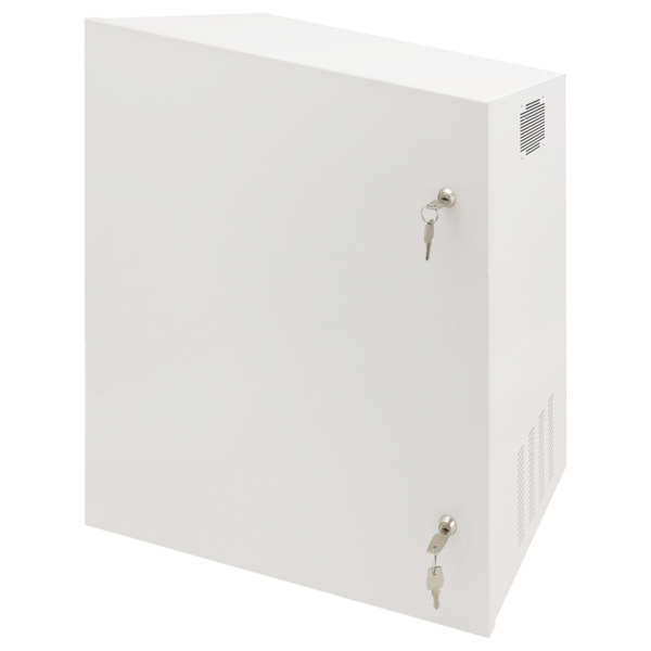 OEM RACK-WALL-PRO Caja de seguridad - Especial para instalación en pared - Formato vertical - 2 llaves y cerraduras  - Entradas (1)