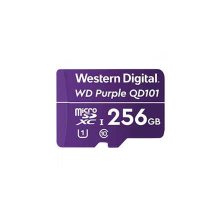 Comprar SD-CCTV-256GB Tarjeta de memoria MicroSD de 1256 GB para sistemas de CCTV. Clase 10.