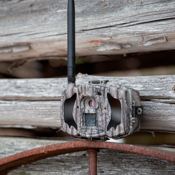 OEM TRAILCAM-36M-4G BolyGuard MG984G - Cámara fototrampeo 4G - GPRS - Resolución 8 Megapixel (hasta 36 interpolados) - Detector (9)