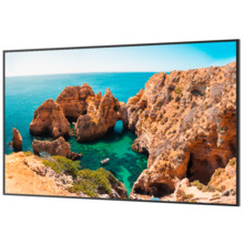 SAFIRE SF-75DS50 Monitor SAFIRE DLED 75&quot; 4K  - Resolución 3840x2160 - Android 14 - Múltiples entradas / salidas - Uso inten