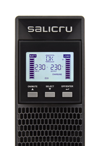 Salicru SPS 3000 ADV RT2 (4)