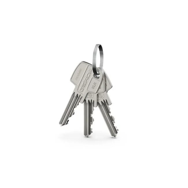 TEDEE GERDA_TEDEE Cilindro Bombillo de Doble Embrague Gerda compatible con Tedee PRO (1)