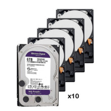 WESTERN DIGITAL PACK_10_WD64PURZ Pack de 10 discos duros de 6 Tb ( 6144 Gb ) Western Digital