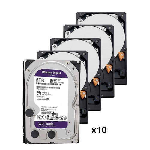 WESTERN DIGITAL PACK_10_WD64PURZ Pack de 10 discos duros de 6 Tb ( 6144 Gb ) Western Digital